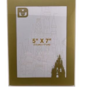 New Disney Parks Cinderella Castle Gold Frame 5x7